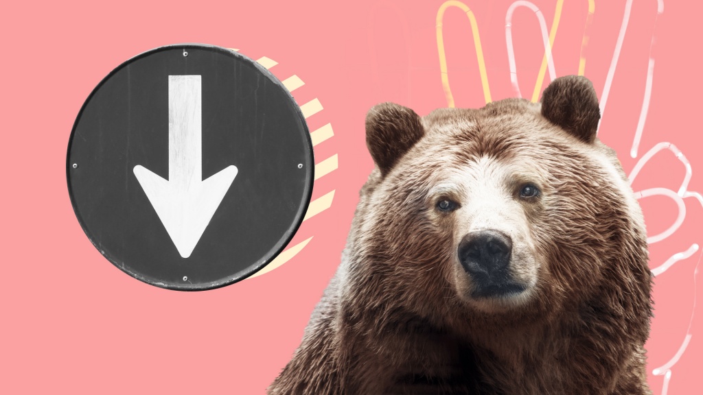 Что такое медвежий рынок и как его пережить